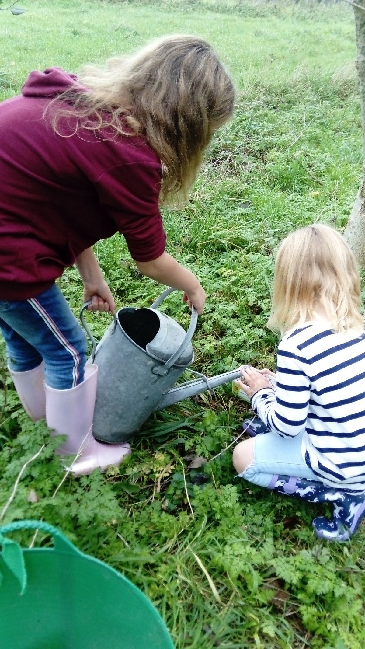 Forest School Parties | Primary Forest School & Sports Education